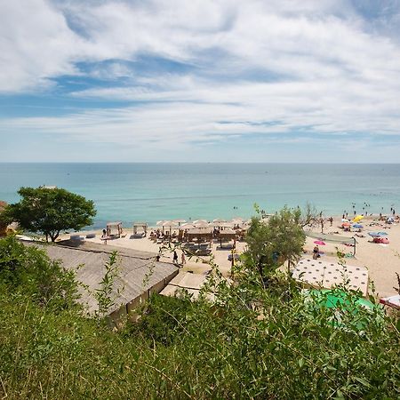 Steller Hostel & Camping Odessa Exteriör bild